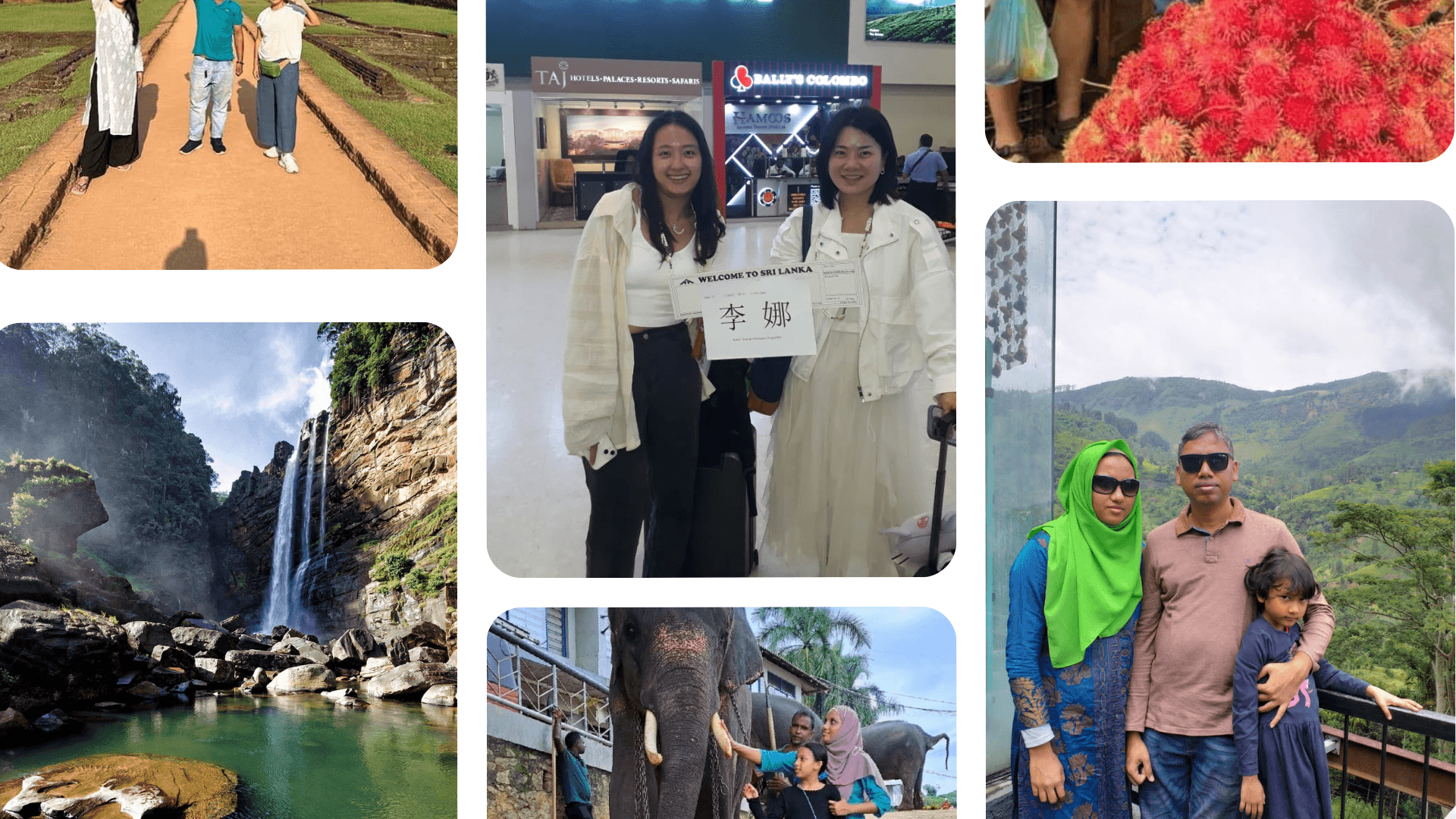 Customers enjoying water sports and elephants